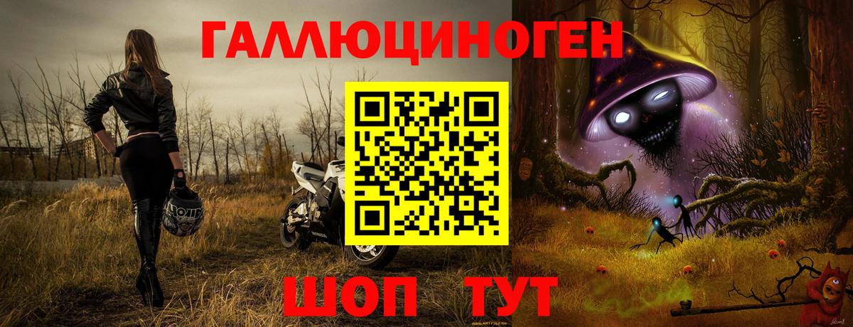 Нововоронеж  что такое наркотик  Галлюциногенные грибы Magic Shrooms  Вход с VPN  Псилоцибиновые грибы Psilocybine cubensis 